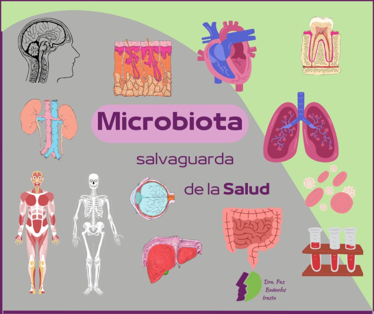 MICROBIOTA y SALUD